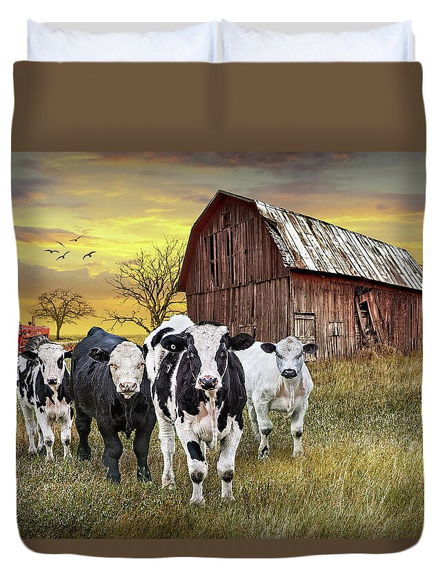 Barn Duvet Cover featuring the photograph Cattle in the Midwest with Barn and Tractor at Sunset by Randall Nyhof