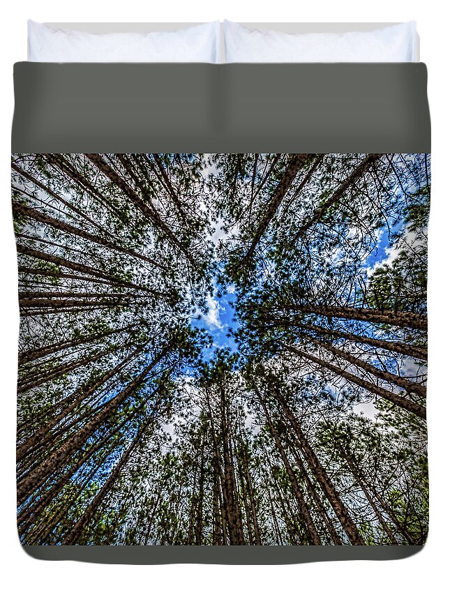 Higgins Lake Duvet Cover featuring the photograph CCC Pines Lookup by Joe Holley