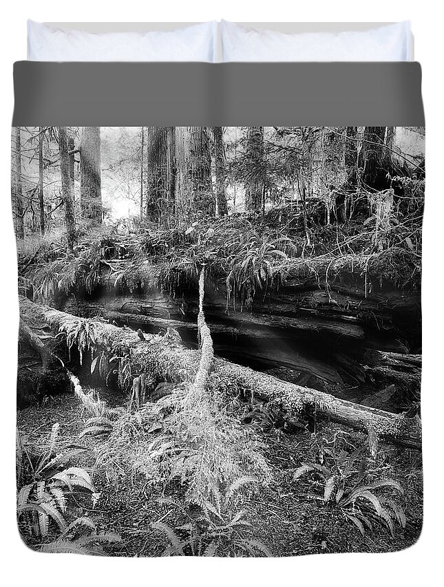 Black And White Photography Duvet Cover featuring the photograph Centuries Old and Sunbeams by Allan Van Gasbeck