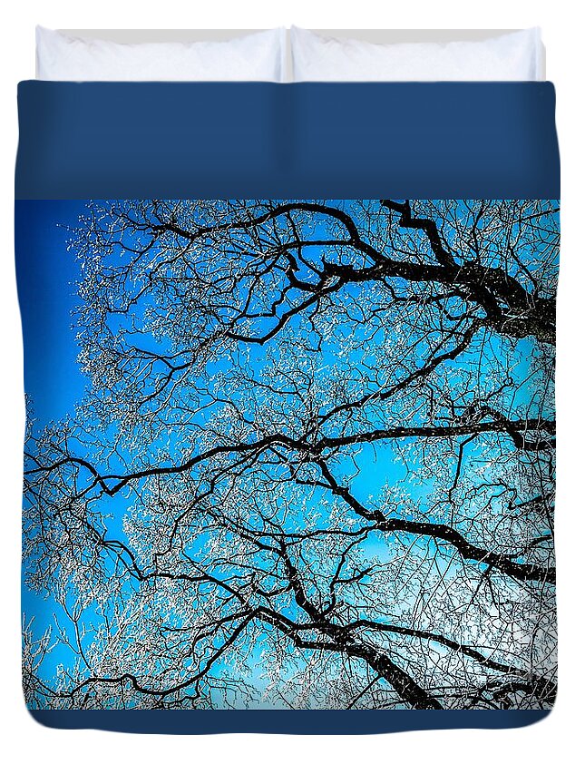 Abstract Duvet Cover featuring the photograph Chaotic System Of Ice Covered Tree Branches With Blue Sky by Andreas Berthold