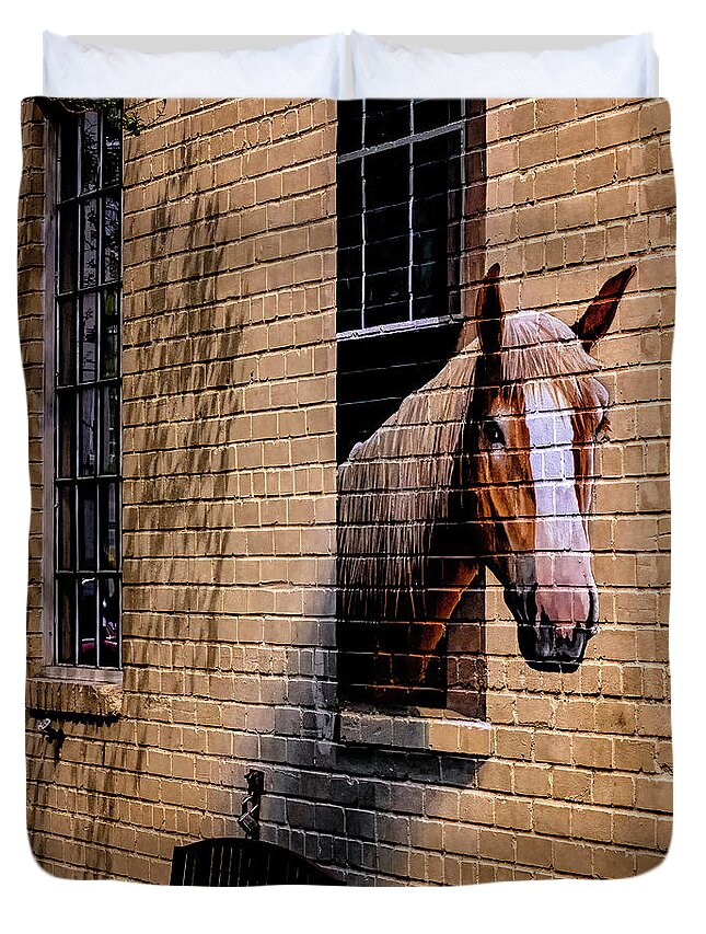 Marietta Georgia Duvet Cover featuring the photograph Charleston Horse Mural by Tom Singleton