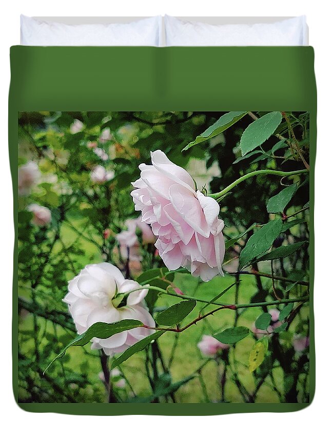 Old Fashioned Roses Duvet Cover featuring the digital art Charming Pale Pink Roses by Pamela Smale Williams