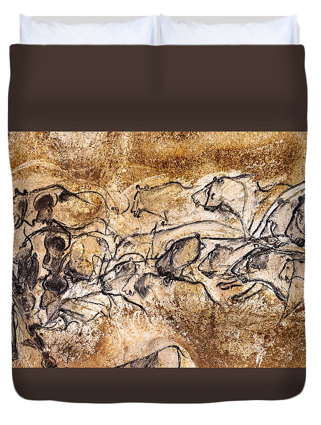 Chauvet Duvet Cover featuring the photograph Chauvet Lions and Bison by Weston Westmoreland