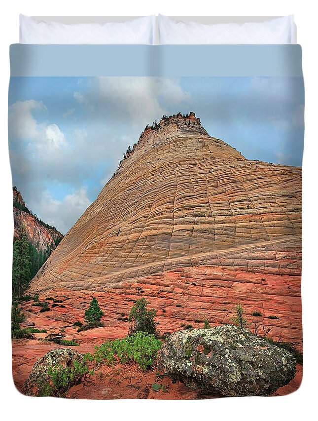 00555583 Duvet Cover featuring the photograph Checkerboard Mesa, Zion by Tim Fitzharris