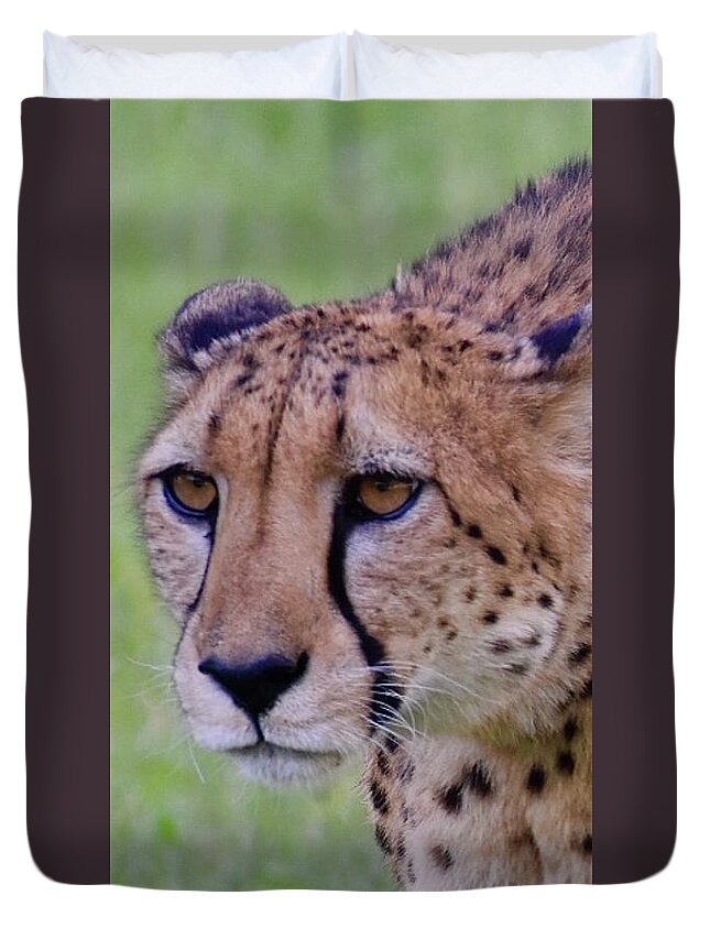 Cheetah Duvet Cover featuring the digital art Cheetah by Tammy Keyes