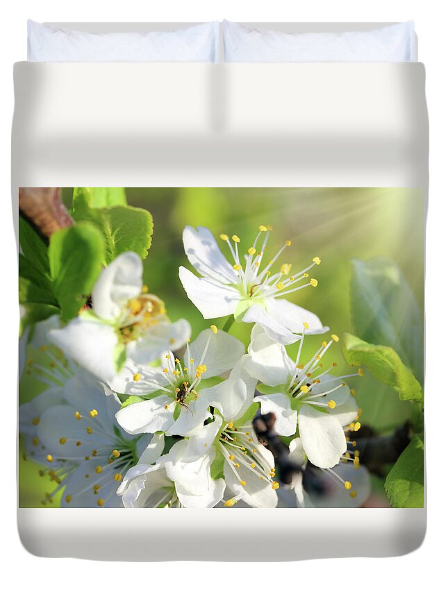 Spring Duvet Cover featuring the photograph Cherry Tree Flowers Macro by Mikhail Kokhanchikov
