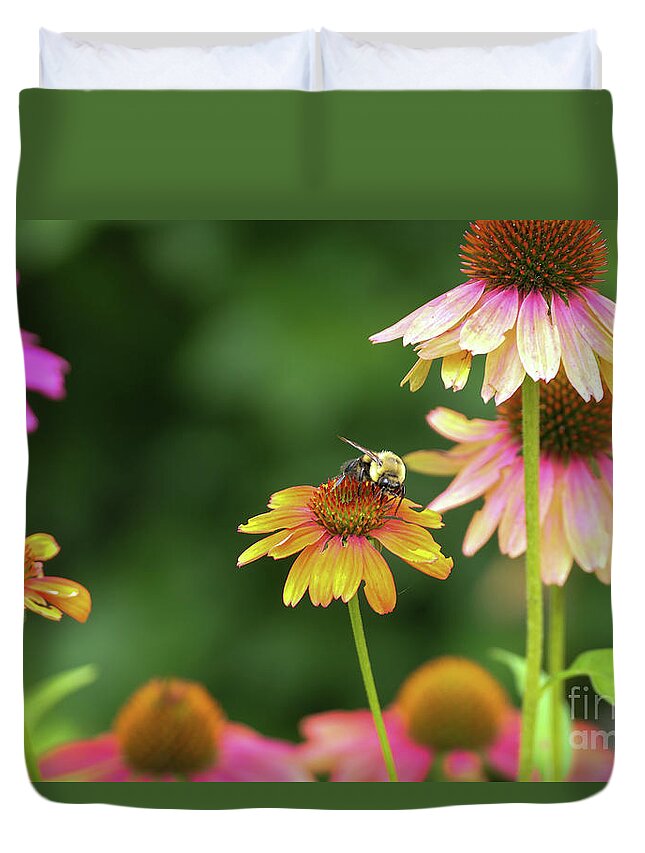 Flowers Duvet Cover featuring the photograph Cheyenne Spirit Coneflowers with a bee. by Bentley Davis
