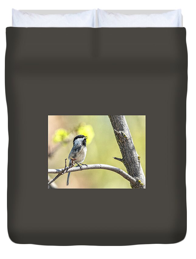 Bird Duvet Cover featuring the photograph Chickadee A Calling by Pamela Dunn-Parrish