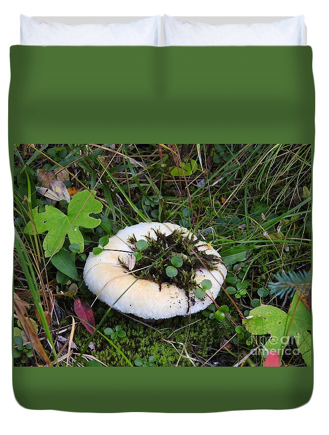 Mushroom Duvet Cover featuring the photograph Chilcotin Forest Mushroom Garden by Nicola Finch