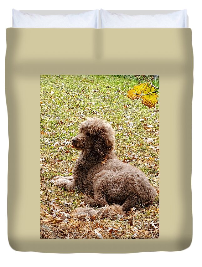 Standard Duvet Cover featuring the photograph Chillaxing by Gigi Dequanne