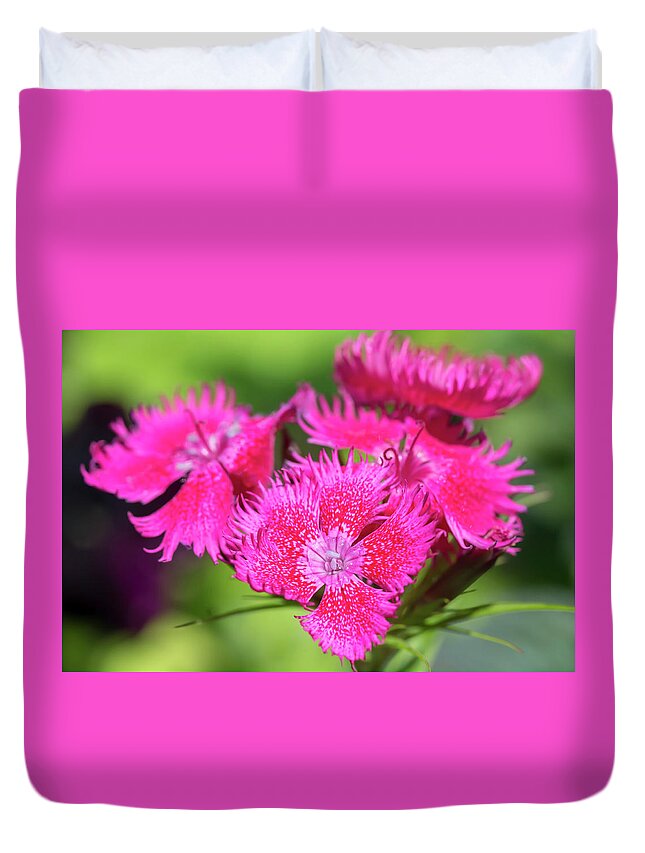 Flower Duvet Cover featuring the photograph China Pink by Dawn Cavalieri