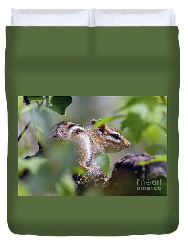 Chipmunk Duvet Cover featuring the photograph Chippy in the Preserve by Natural Focal Point Photography