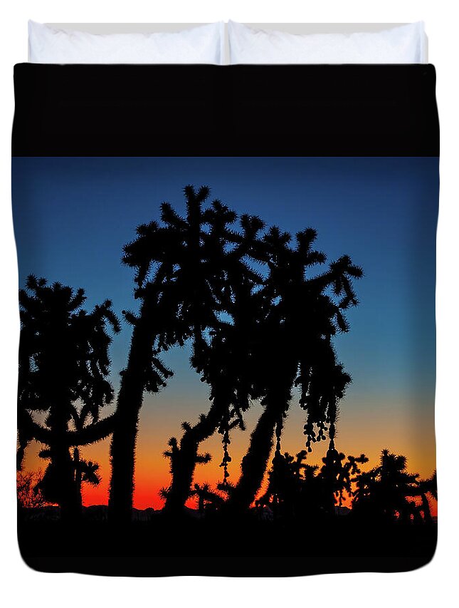 American Southwest Duvet Cover featuring the photograph Cholla Silhouettes by Rick Furmanek