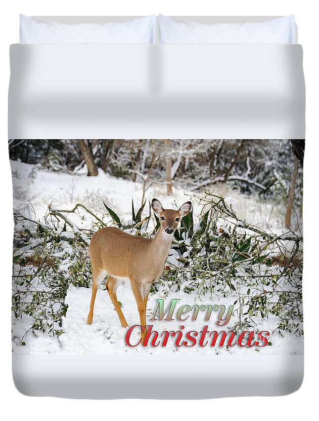 Forest Duvet Cover featuring the photograph Christmas doe in the snow by Gunther Allen