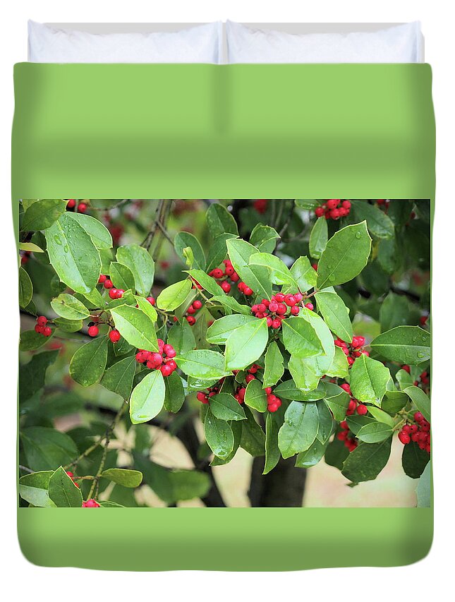 Red Duvet Cover featuring the photograph Christmas in April by C Winslow Shafer