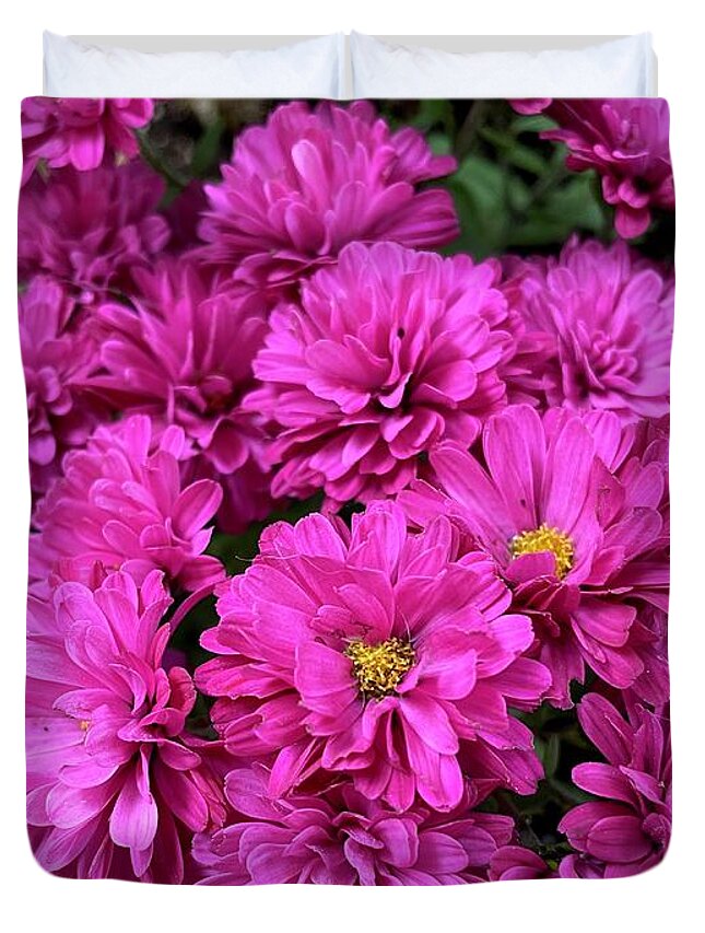 Pink Duvet Cover featuring the photograph Chrysanthemum by Albert Massimi