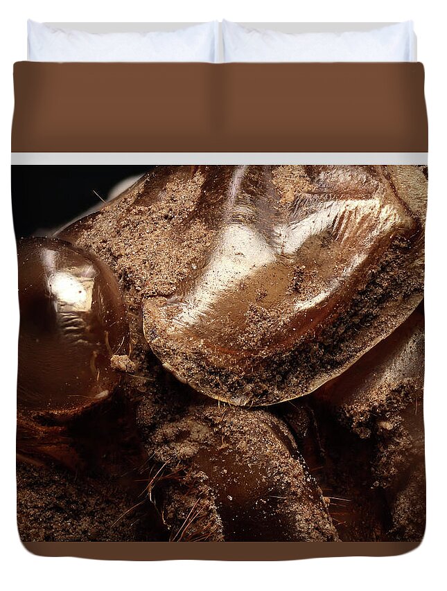 Insect Exuviae Duvet Cover featuring the photograph Cicada Exuviae by Daniel Reed