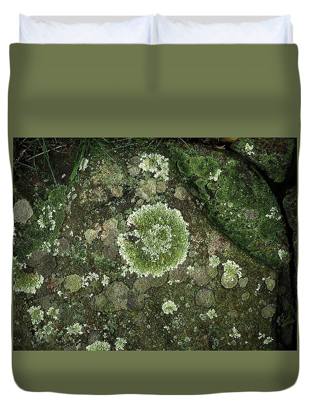 Rock Duvet Cover featuring the photograph Rocks For Lichen by Alida M Haslett