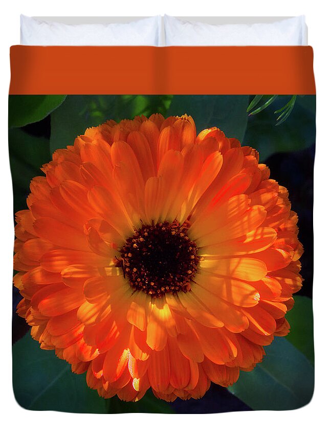 Beautiful Duvet Cover featuring the photograph Circular Orange Blossom by David Desautel