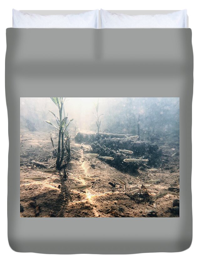 Water Duvet Cover featuring the photograph Clean Water - Delaware River Fish - Underwater Photography by Amelia Pearn