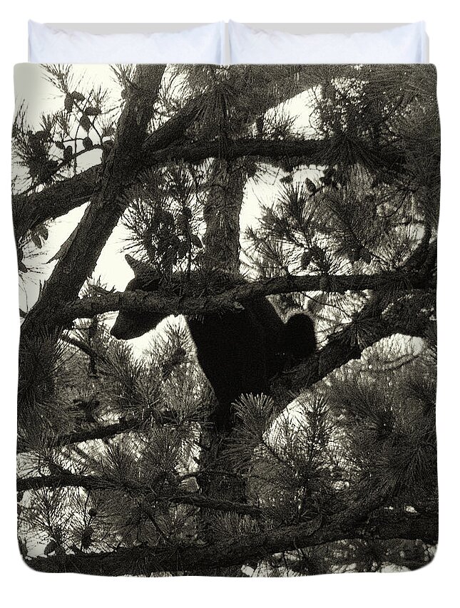 Bear Duvet Cover featuring the photograph Climbing Bear 4 by Phil Perkins