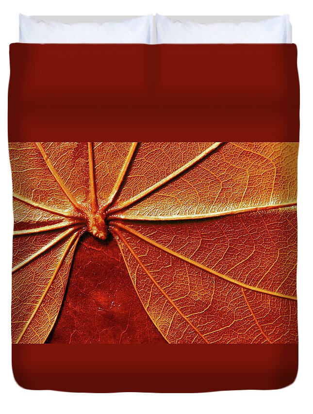 Papyrus Duvet Cover featuring the photograph Close up of the red leaf papyrus by Severija Kirilovaite