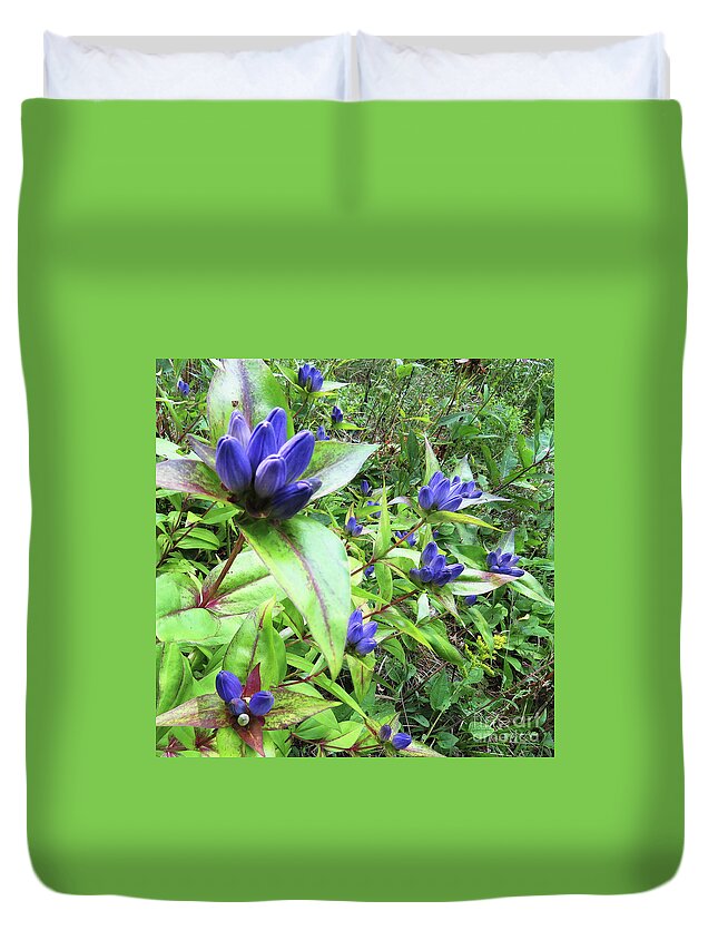 Gentian Duvet Cover featuring the photograph Closed Bottle Gentian 1 by Amy E Fraser