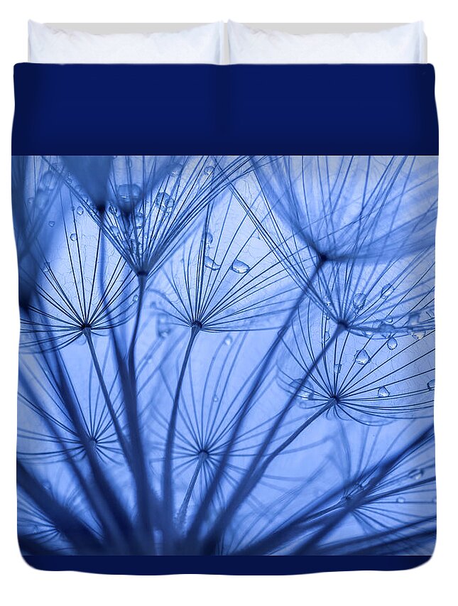 Dandelion Duvet Cover featuring the photograph Closeup of Dandelion Seeds by Vishwanath Bhat