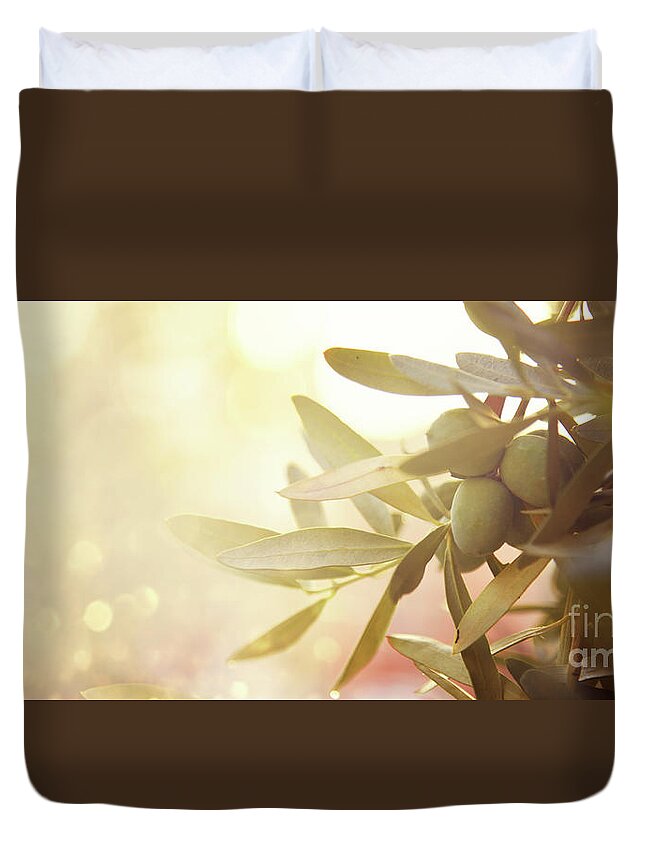 Olive Duvet Cover featuring the photograph Closeup of olive fruit on tree branch. by Jelena Jovanovic