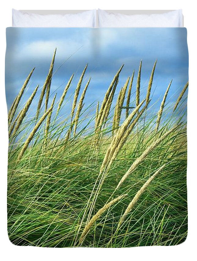 Beautiful Duvet Cover featuring the photograph Coastal Grass by David Desautel