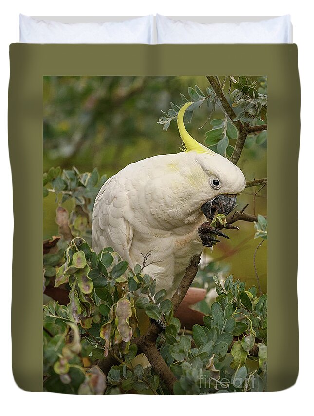 Wildlife Duvet Cover featuring the photograph Cockatoo 10 by Werner Padarin