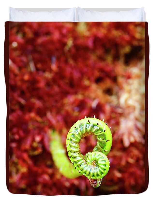 Fern Duvet Cover featuring the photograph Coil of Life by James Brunker