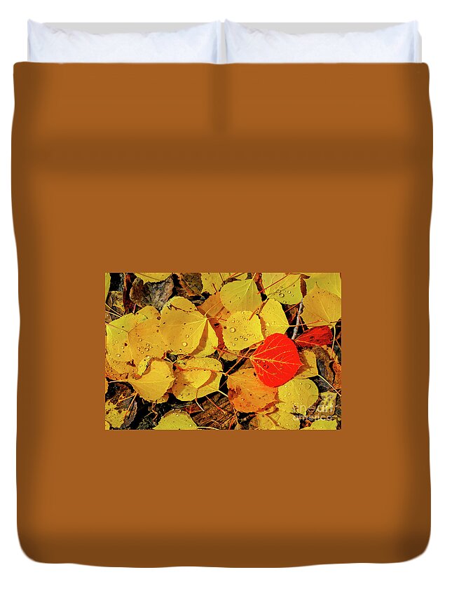 San Juan Mountains Colorado Duvet Cover featuring the photograph Red and Yellow by Bob Phillips