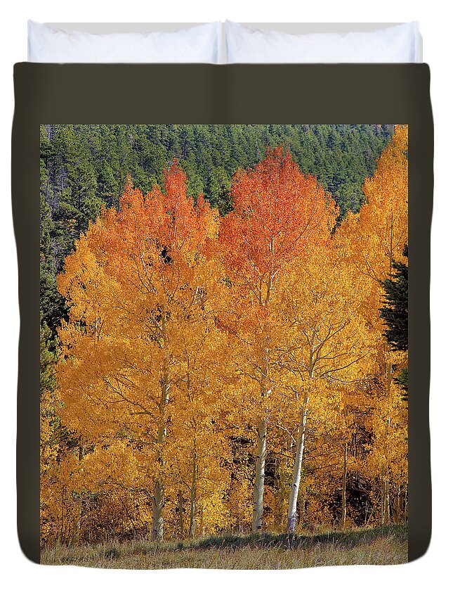 Colorado Duvet Cover featuring the photograph Colorado Fall Colors by Bob Falcone