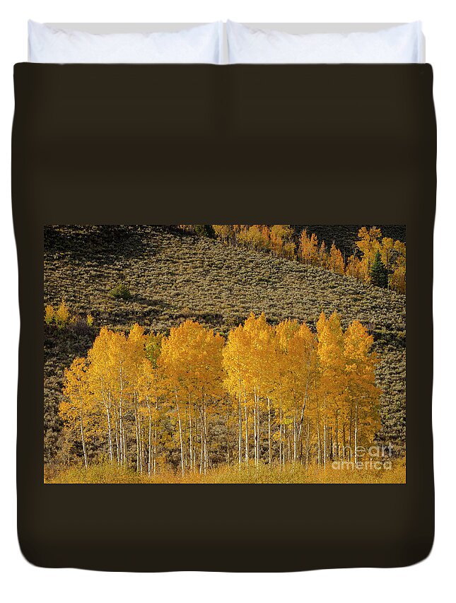 Colorado Duvet Cover featuring the photograph Colorado Rockies by Maresa Pryor-Luzier