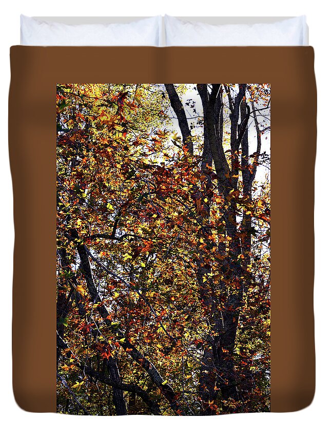 Autumn Duvet Cover featuring the photograph Colorful Autumn Leaves 4 High Resolution XL by Katy Hawk