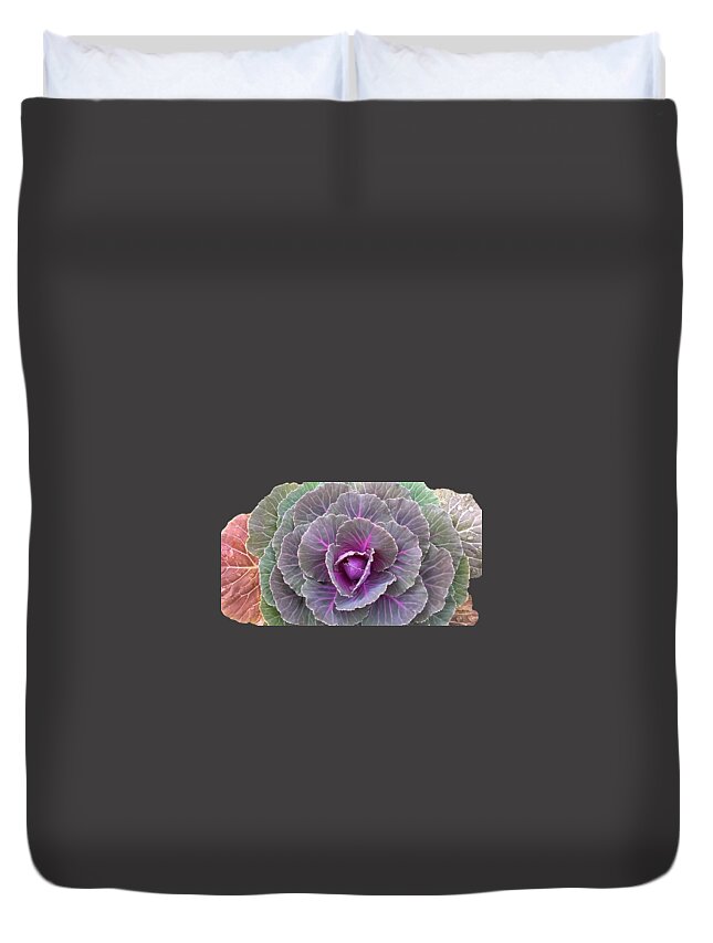 Duane Mccullough Duvet Cover featuring the photograph Colorful Cabbage Clear by Duane McCullough