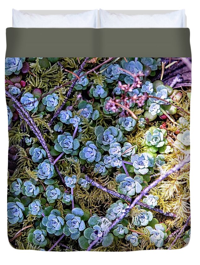 Background Duvet Cover featuring the photograph Colorful Forest Floor by David Desautel