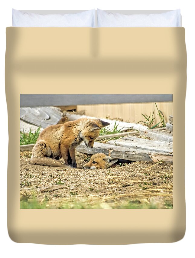 Fox Duvet Cover featuring the photograph Come Out and Play by Alana Thrower