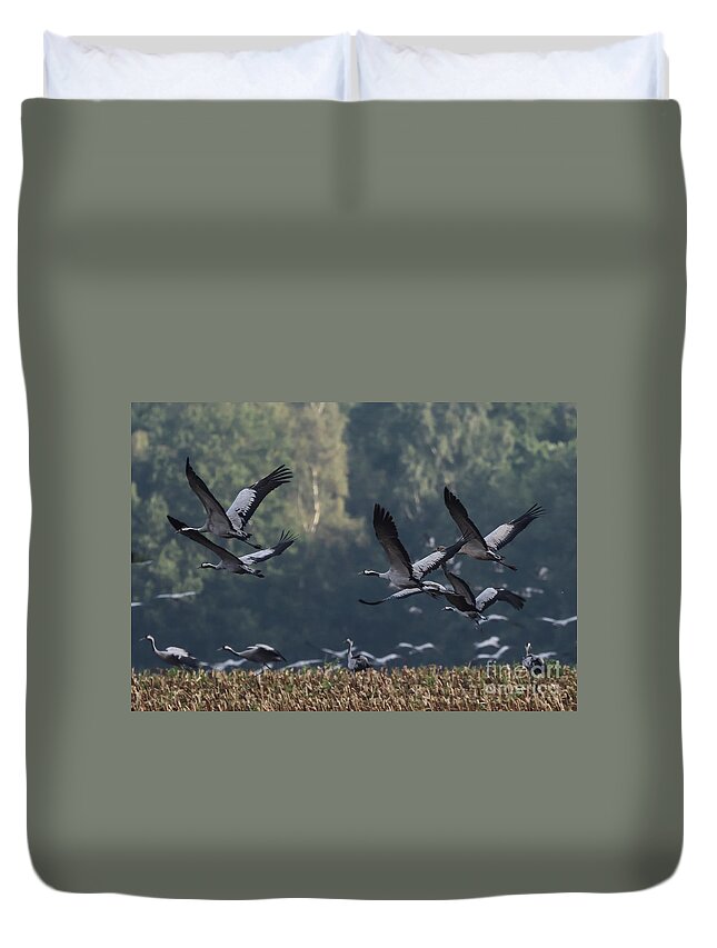 Common Crane Duvet Cover featuring the photograph Common Cranes by Eva Lechner