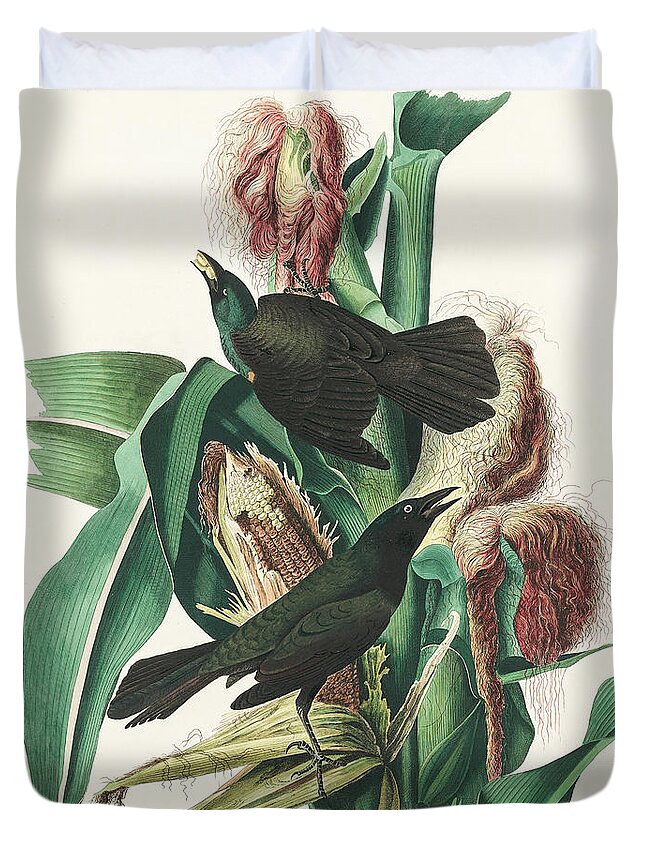 Common Crow Duvet Cover featuring the mixed media Common Crow. John James Audubon by World Art Collective