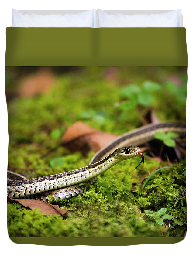 Snake Duvet Cover featuring the photograph Common Garter Snake by Christina Rollo