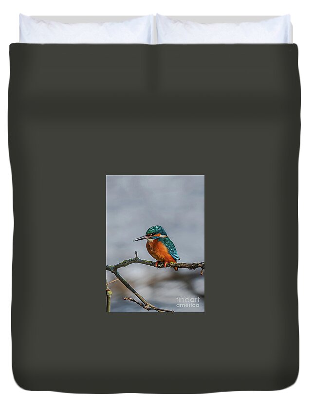 Kingfisher Duvet Cover featuring the photograph Common Kingfisher, Acedo Atthis, Sits On Tree Branch Watching For Fish by Andreas Berthold