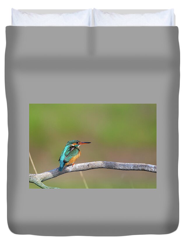 Alcedinidae Duvet Cover featuring the photograph Common kingfisher - Alcedo atthis by Jivko Nakev