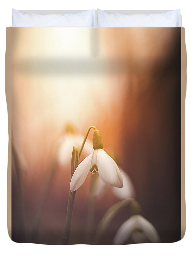 Europe Duvet Cover featuring the photograph Common snowdrop at sunset. Magic flower sprouting from the soil by Vaclav Sonnek