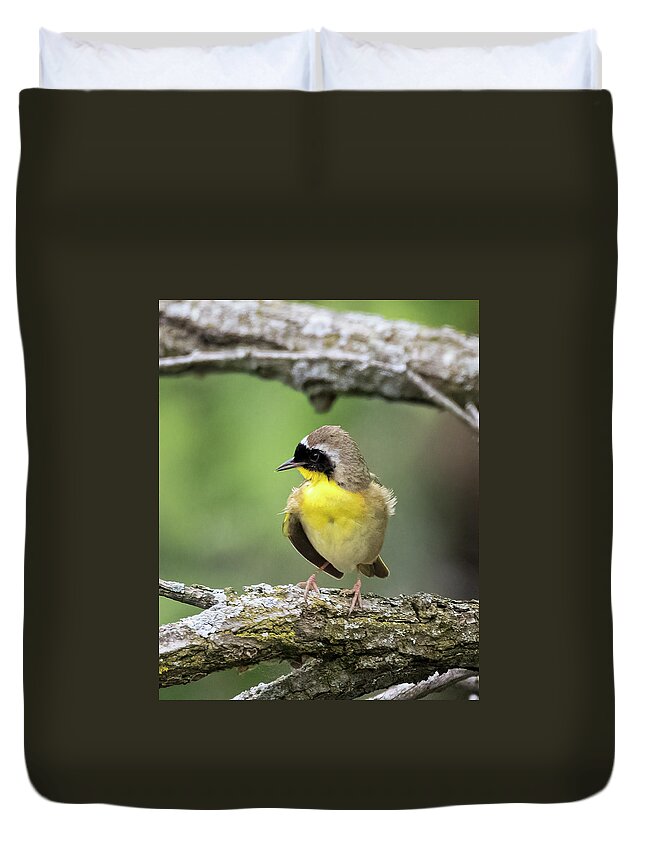 Birds Duvet Cover featuring the photograph Common Yellowthroat by Ray Silva