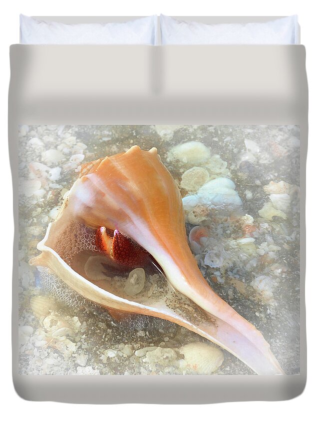 Conch Shell Duvet Cover featuring the photograph Conch by Alison Belsan Horton