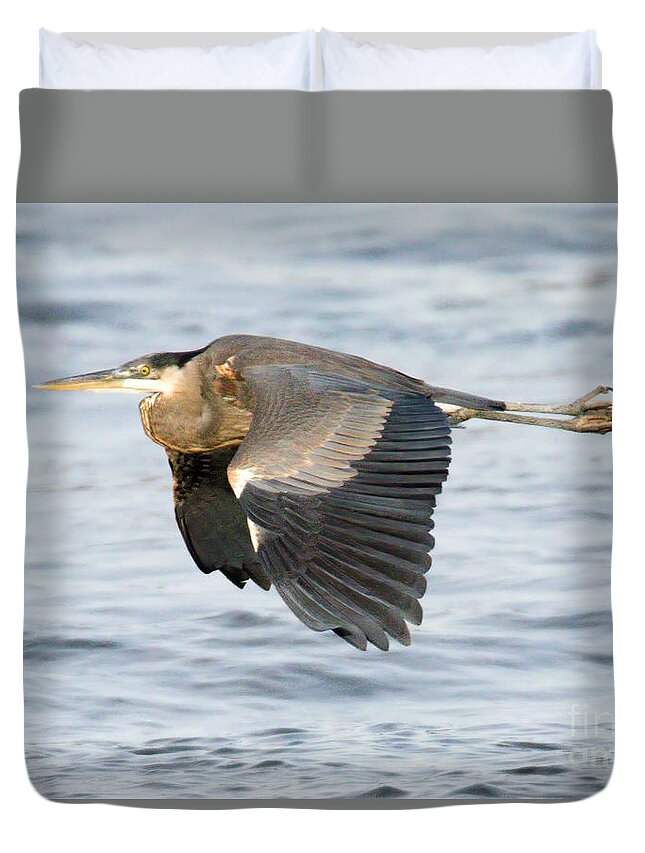 Heron Duvet Cover featuring the photograph Conowingo Blue Heron In Flight by Adam Jewell