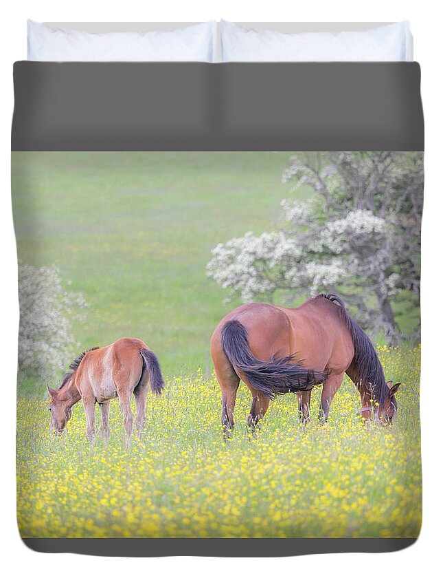 Horses Duvet Cover featuring the photograph Contentment - Mare and Foal in a meadow by Anita Nicholson