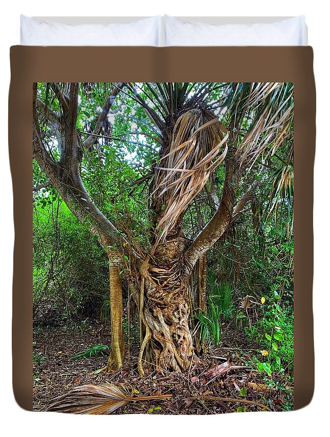 Tree Duvet Cover featuring the photograph Cool Tree by Vicki Lewis